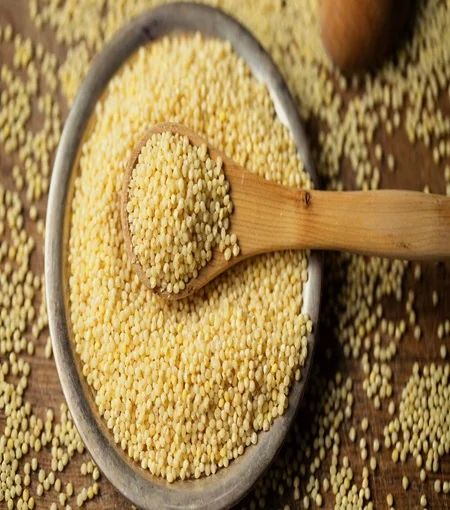 Foxtail Millet Seeds