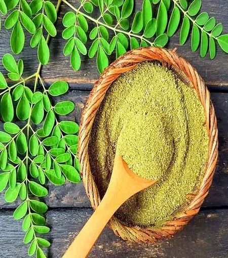 Natural Moringa Leaves Powder for Medicines Products
