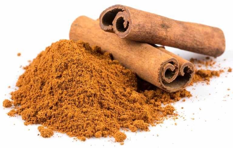 Dry Cinnamon Powder for Cooking