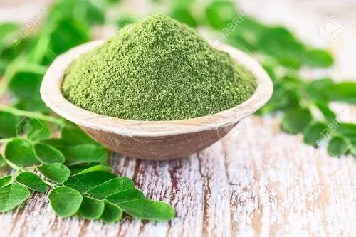 Organic Dry Moringa Powder for Medicines Products