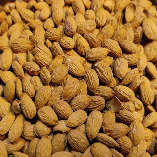 Hard Organic Mamra Almond Kernels, Style : Dried