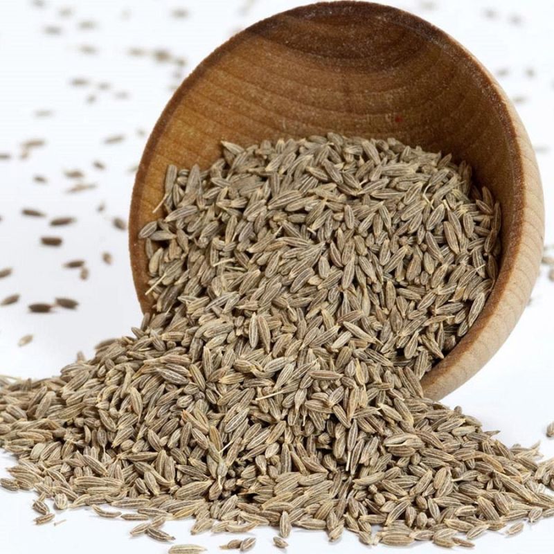 Natural Raw Cumin Seeds for Cooking