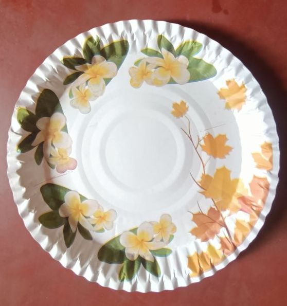 12 Inch Disposable Printed Paper Plate