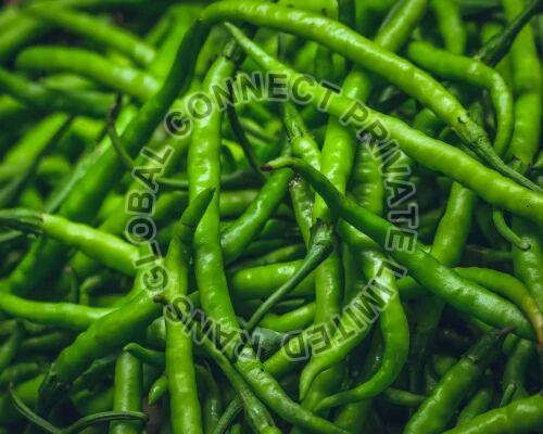 Fresh Green Chilli