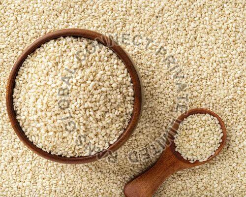 White Sesame Seeds, for Oil, Style : Dried