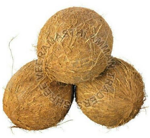 Brown Hard Organic Husked Coconut
