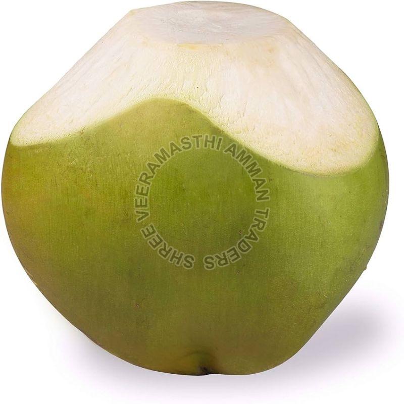 Green Hard Organic Tender Coconut