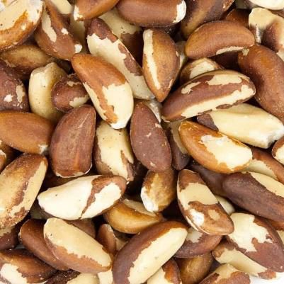 Brazil Nuts for Human Consumption