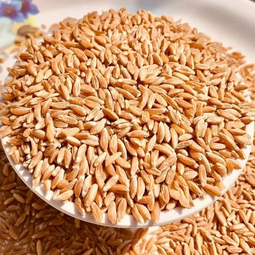 Natural Wheat Grain for Cooking