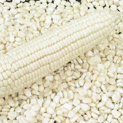 White Corn for Cooking, Animal Feed