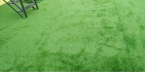 Plain Polypropylene Green Artificial Grass Carpet for Home Decor