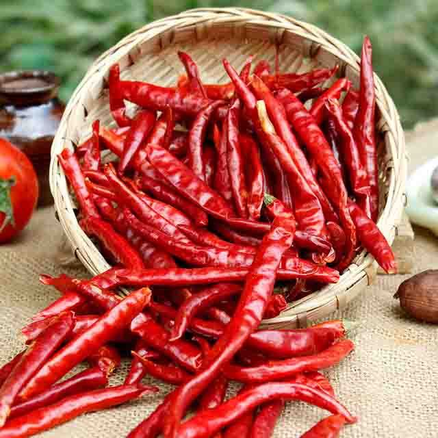 Dry Red Chilli for Spices, Cooking