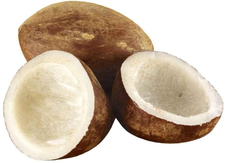 Dry Coconut