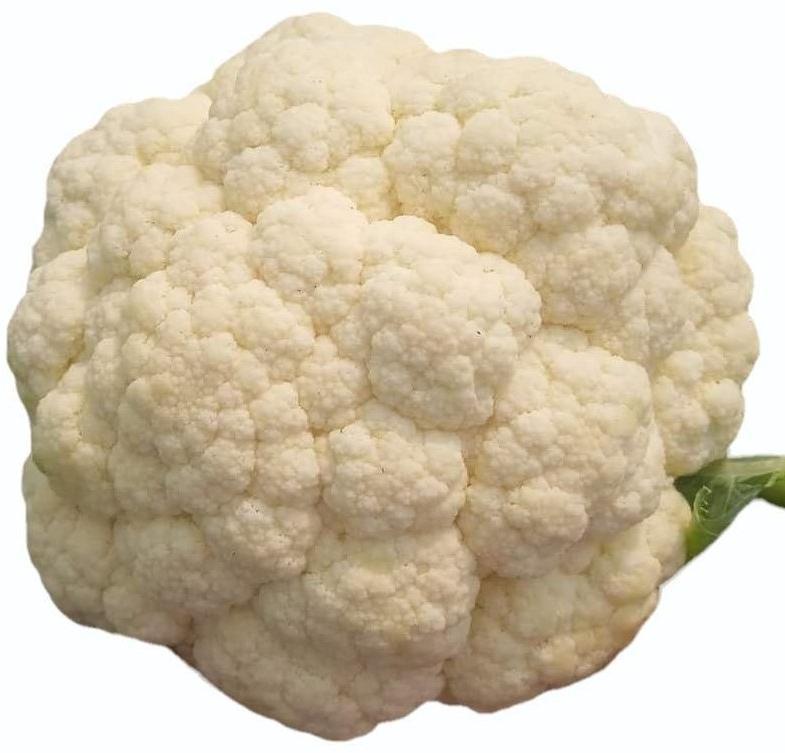 Fresh Cauliflower, Packaging Type : Gunny Bag