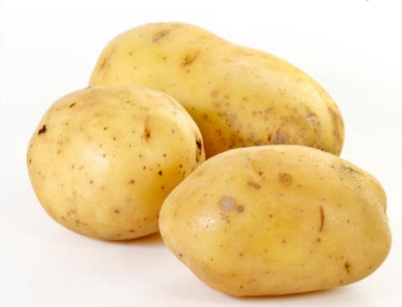 Natural Fresh Pukhraj Potato, Packaging Type : Gunny Bags
