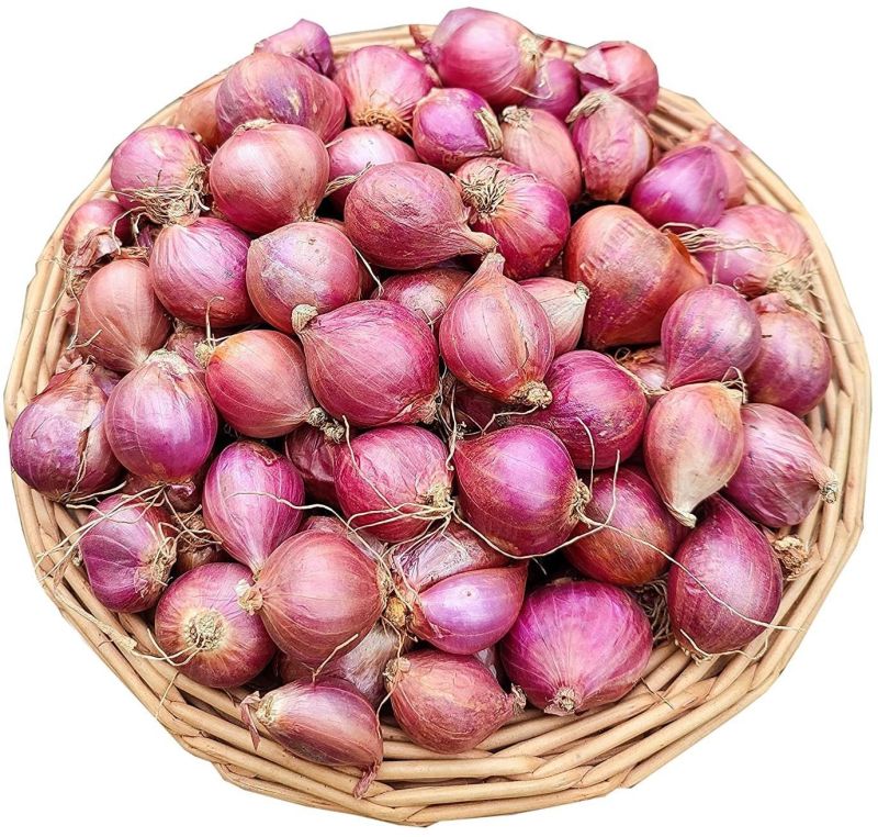 Pink Natural Fresh Shallot Onion, for Human Consumption, Packaging Size : 10 Kg