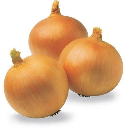 Natural Fresh Yellow Onion, Packaging Size : 10kg