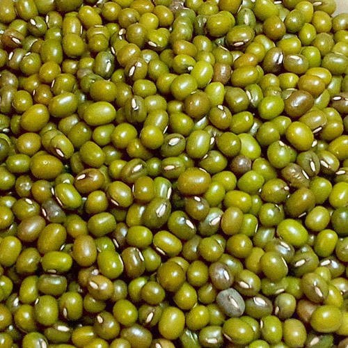 Natural Green Moong Dal, Packaging Type : Plastic Packet