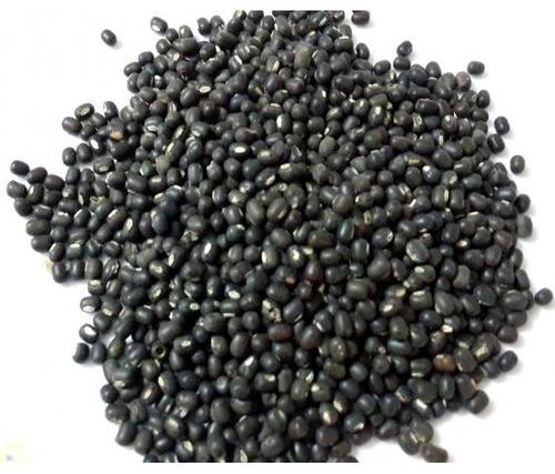 Natural Whole Black Urad Dal, Packaging Type : Plastic Packet