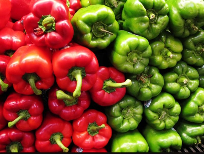 Color capsicum for Cooking