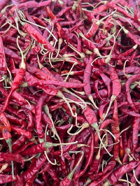 Organic Dried Chillies for Spices