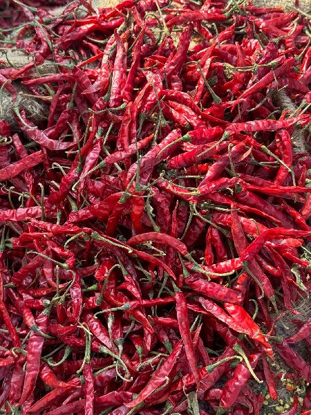 Teja Deluxe Dry Red Chilli
