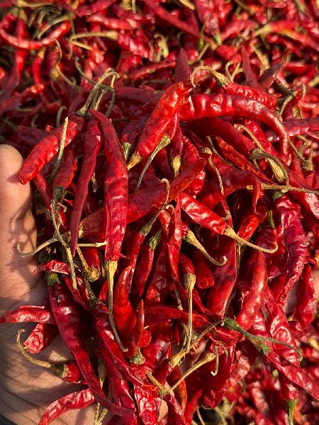 Teja Red Chilli for Hotel, Home