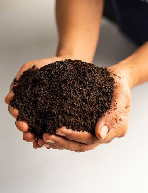 Organic Vermicompost 1kg For Agriculture