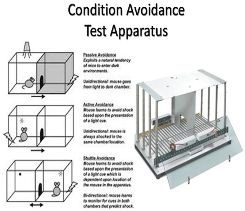 Milton Enterprises Condition Avoidance Test Apparatus for Laboratory Use