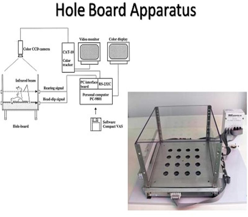 Milton Enterprises Hole Board Apparatus