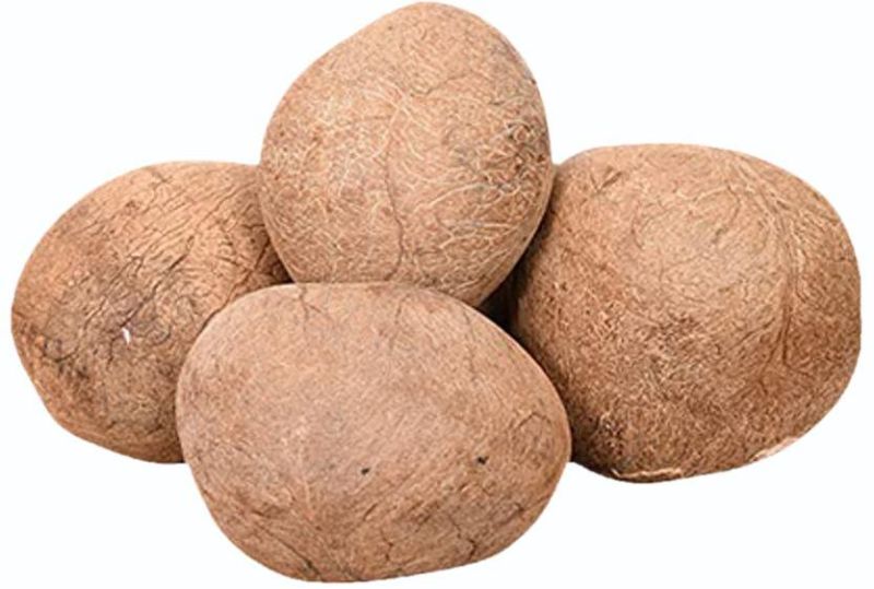 Whole Copra Coconut for Cooking, Oil Extraction