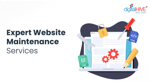 Website Maintenance Services, Platform : Wordpress