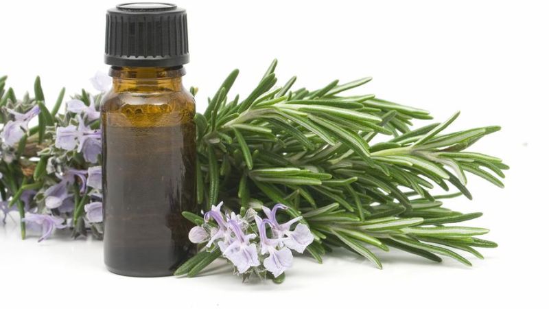 Rosemary Essential Oil for Pharma, Home, Food
