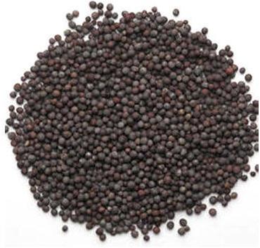 Black Mustard Seeds for Cooking