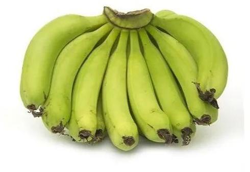 Fresh Green Banana for Human Consumption