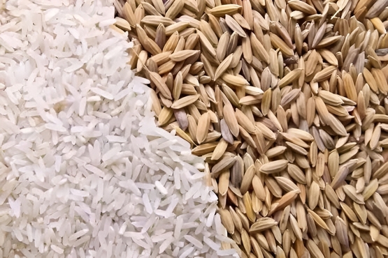 Soft Natural basmati rice for Cooking