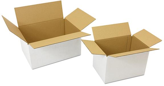 Duplex Packaging Boxes