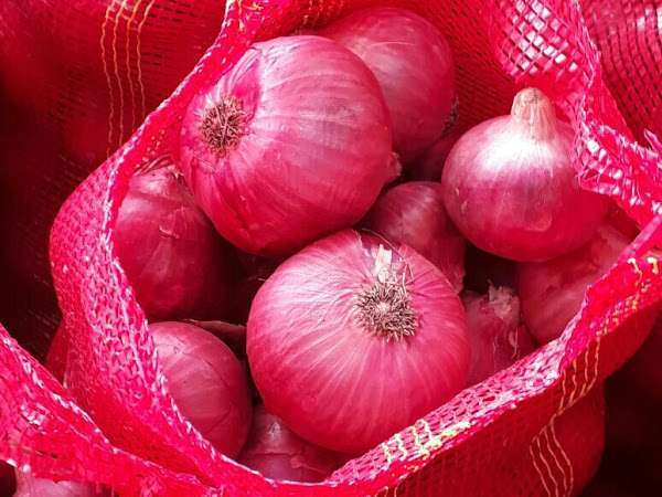 Fresh Red Onion, for Human Consumption, Packaging Size : 50kg