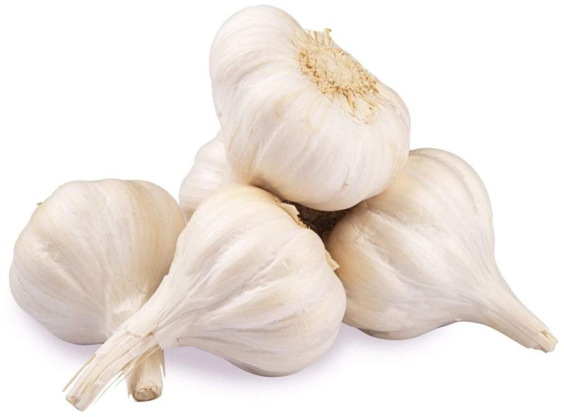 Organic White Garlic, Packaging Size : 25kg