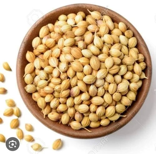 Raw Organic Coriander Seeds for Cooking