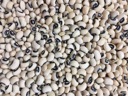 Organic Cowpea for Cooking