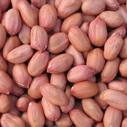 Red Groundnut Seeds for Agriculture