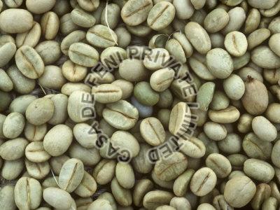 Common Robusta Plantation Beans for Making Chocolate, Making Coffee