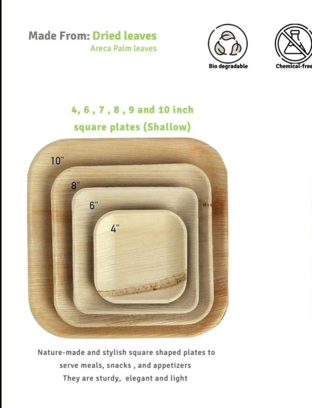 Biodegradable Areca Leaf Plates