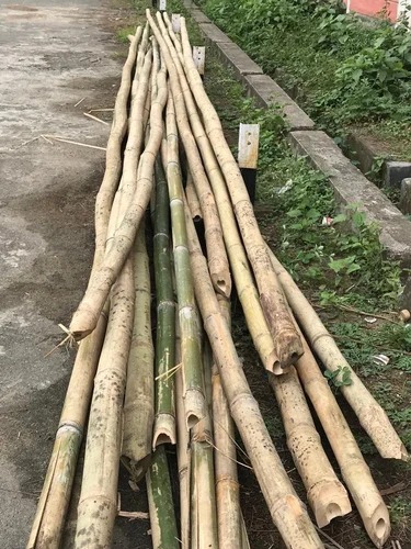 12 Feet Lagga Bamboo Poles for Furniture, Wooden Doors, Cabinets etc.
