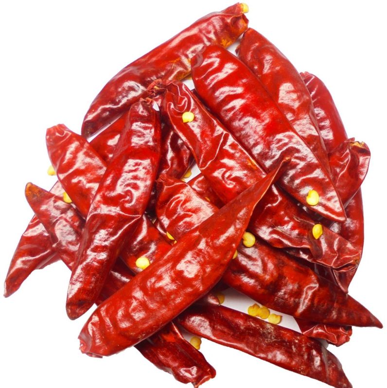 Dried Red Guntur Chilli for Cooking