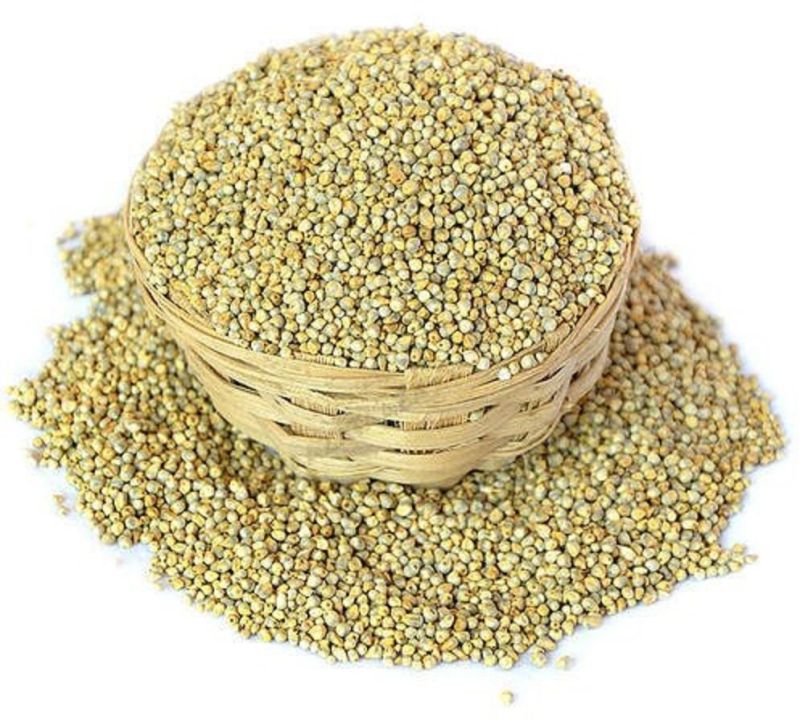 Natural Pearl Millet Seeds for Cooking, Cattle Feed