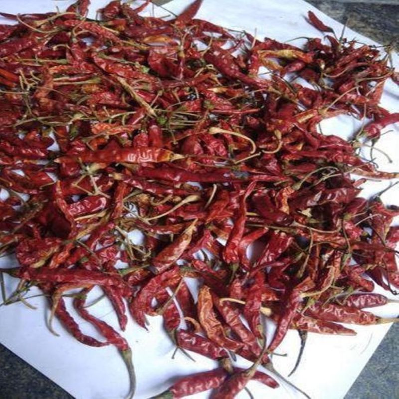 Teja Dried Red Chilli for Cooking