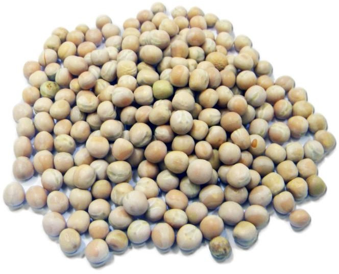 Natural Vatana White Peas for Human Consumption