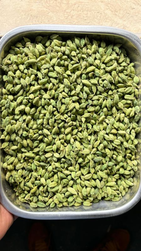 Raw Natural Green Cardamom for Spices